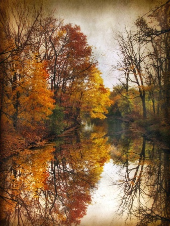 Autumn Serenity 