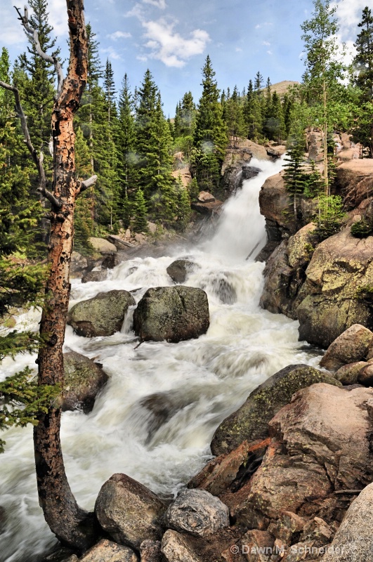 Alberta Falls 2