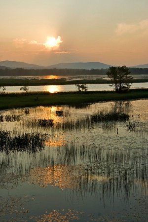 An Evening on the Marsh