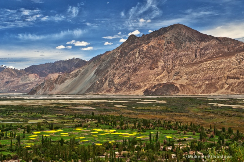 Ladakh-1/2011