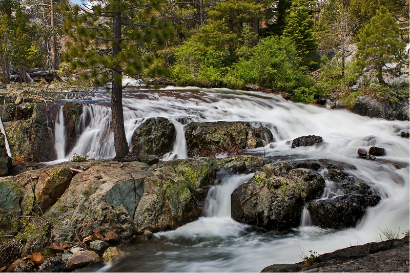 Glen Alpine Creek, Desolation Wilderness, Calif.