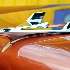 2Hood Ornament - ID: 11982119 © Carol Eade