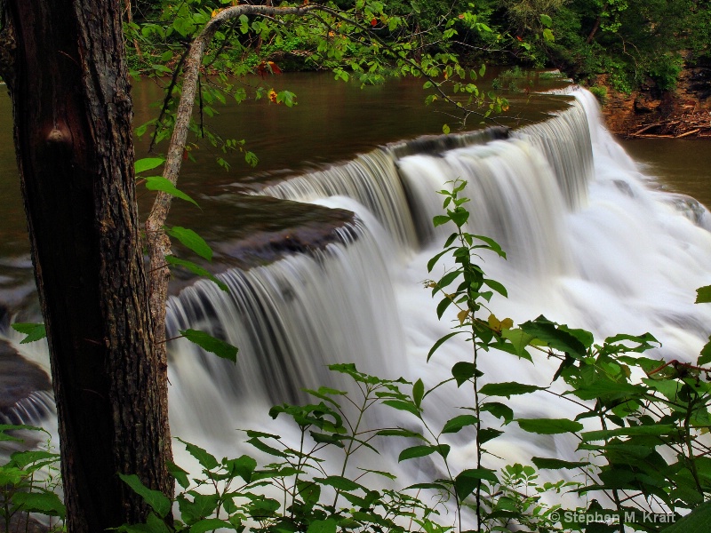 Waterloo Falls