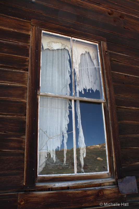 Bodie Reflection