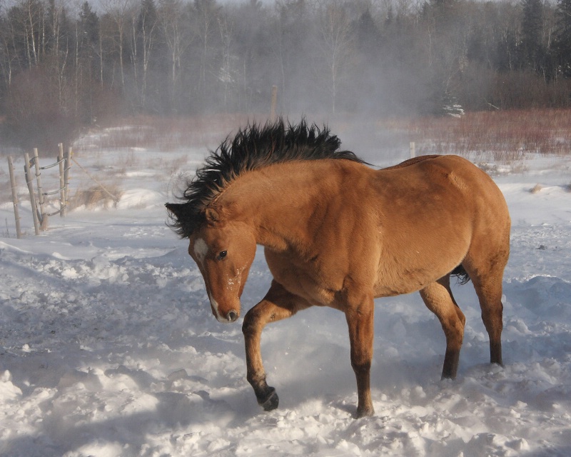 A Blustery Day