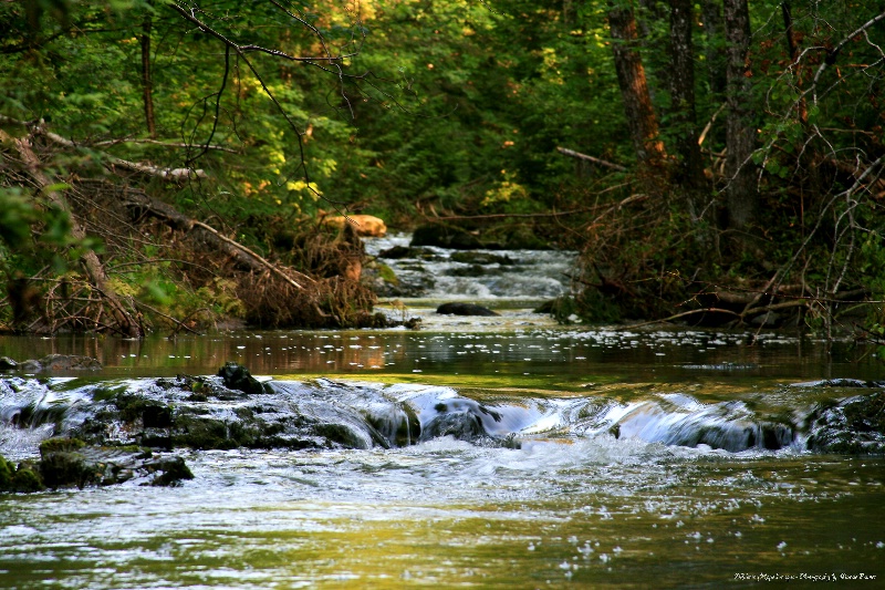 ~Gray Brook~