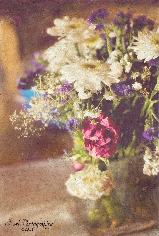 Flowers on the Table - ID: 11999449 © Shelia Earl