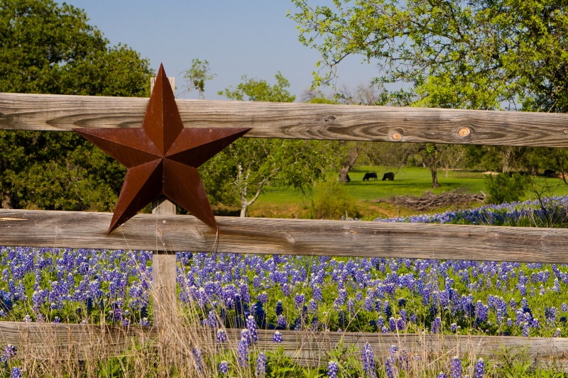 Texas Hill Country Blues