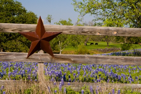 Texas Hill Country Blues