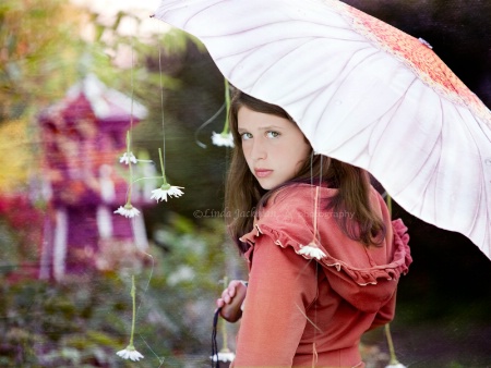 Raining daisies3