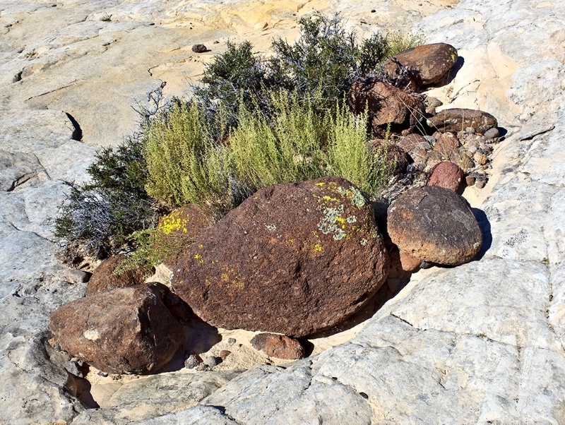 Rockscape - ID: 12005457 © Patricia A. Casey