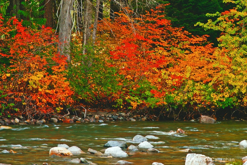 415 autumn river