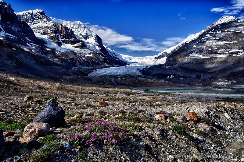 Spring at Athabasca Glacier