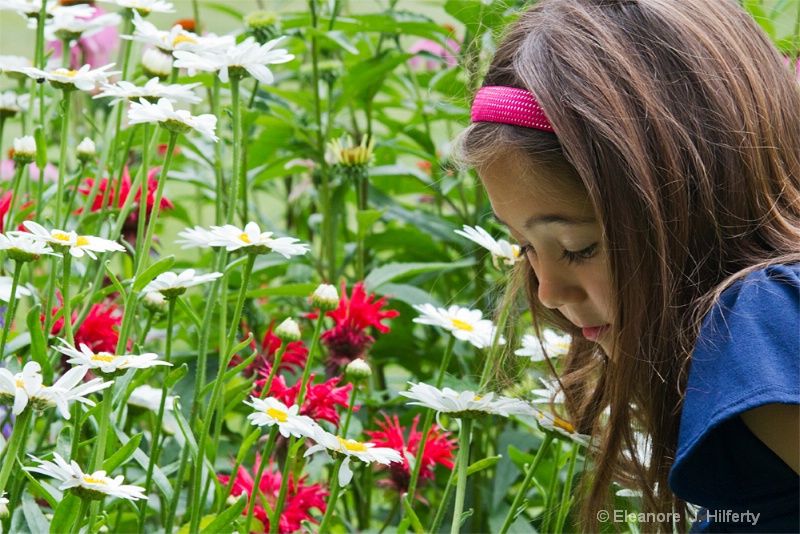 Smelling flowers - ID: 12016063 © Eleanore J. Hilferty