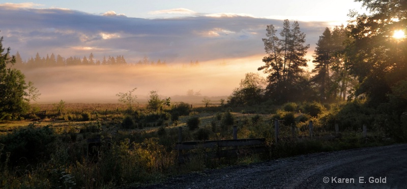 Foggy start to the Morning