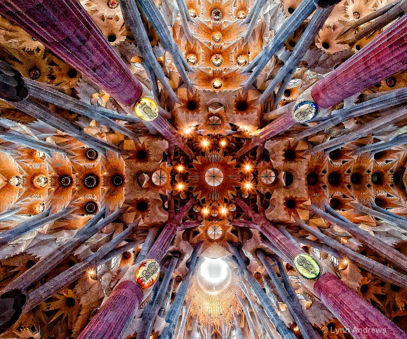Alien Ceiling - Sagrada Familia - ID: 12018594 © Lynn Andrews