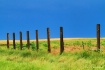 The Farm Fence