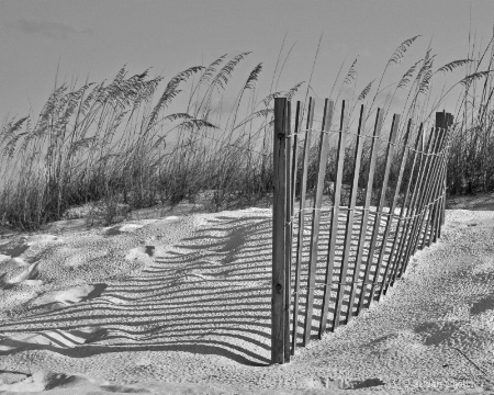 Dune Fence 7269B&W