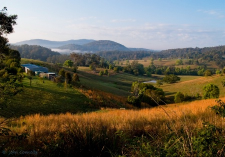 A Spring Morning