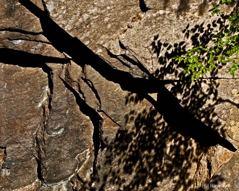 Rock Wall and Shadows