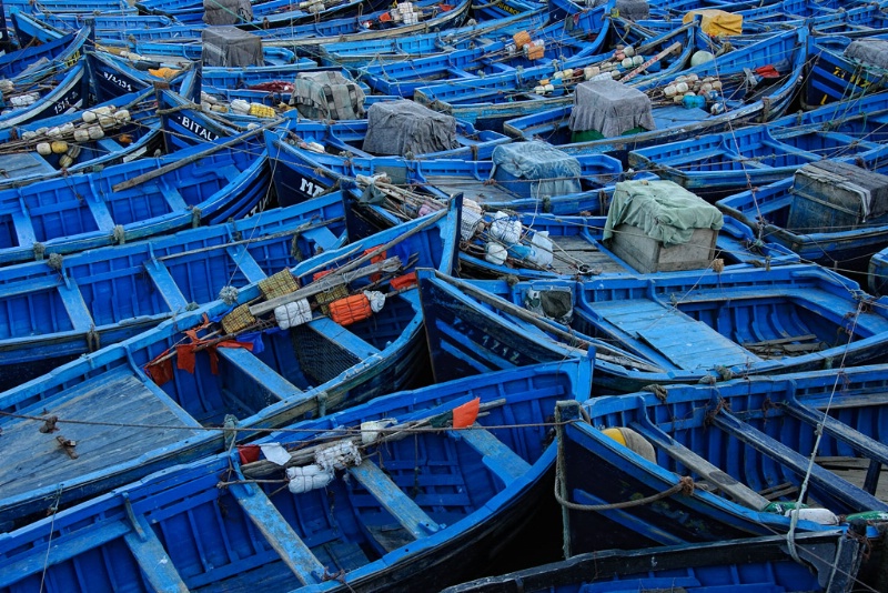 Blue Boats