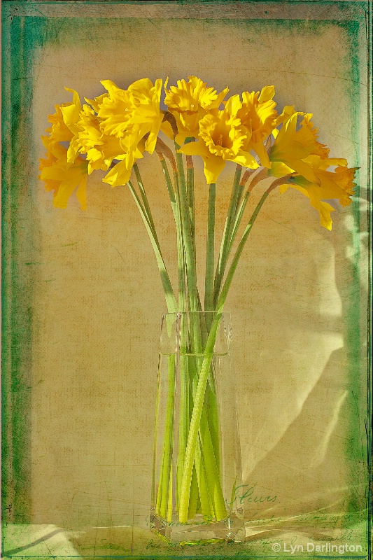 Vase of daffodils!