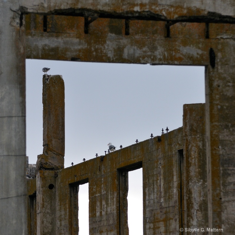 desolate Alcatraz, San Francisco  - ID: 12036706 © Sibylle G. Mattern