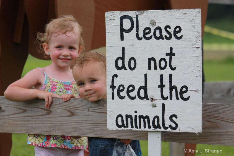 Please Do Not Feed the Animals
