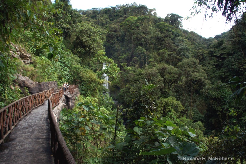 La Paz Waterfalls, Costa Rica1