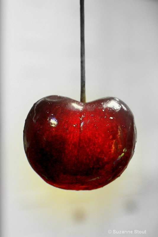 Suspended Cherry