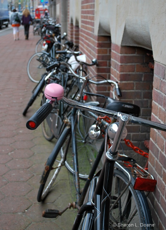 Dutch Transportation