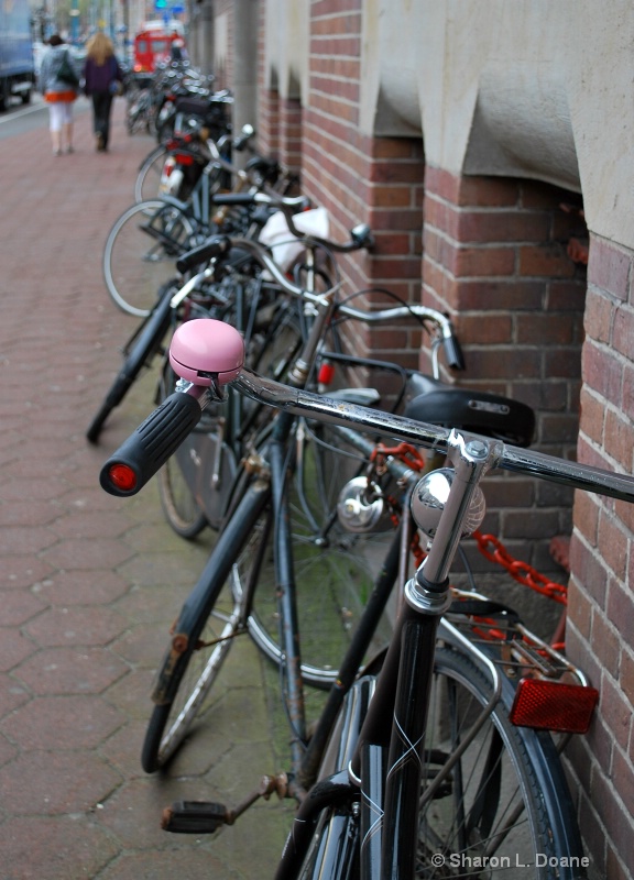 Dutch Transportation