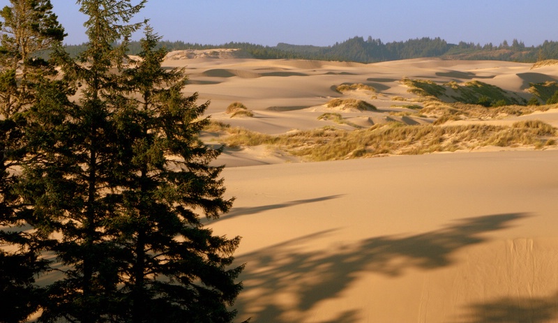 the dunes - ID: 12067030 © cari martin