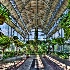 © Elliot Barnathan PhotoID# 12067335: Jewel Box in Forest Park 5
