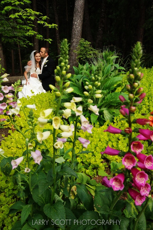Garden Wedding