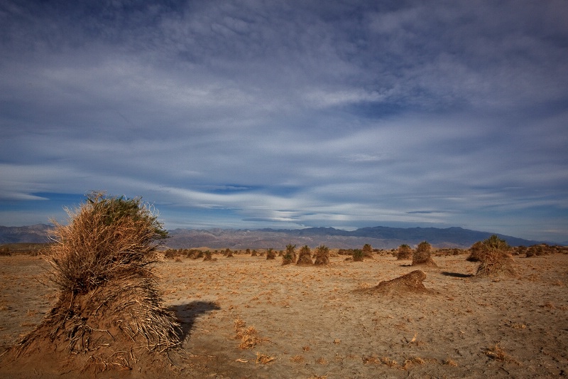 Devil's Cornfield