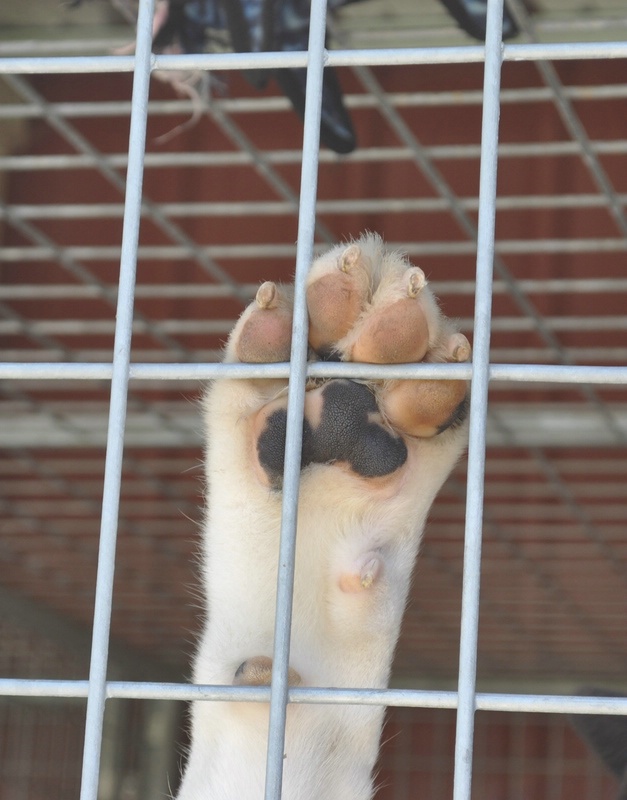 Let me out!!