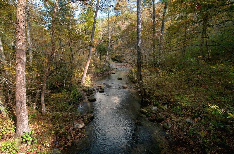 Meandering Stream - Rural Arkansas