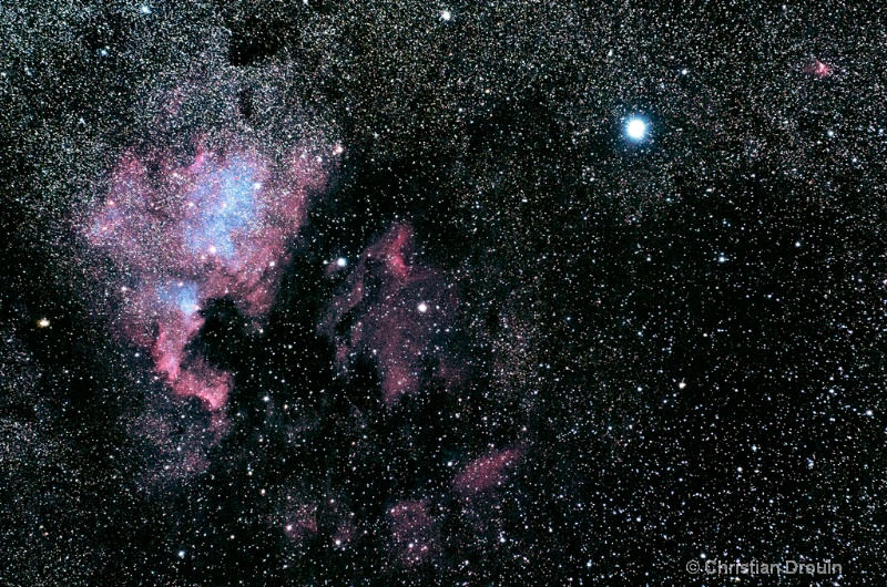 NGC 7000 and Pelican Nebula
