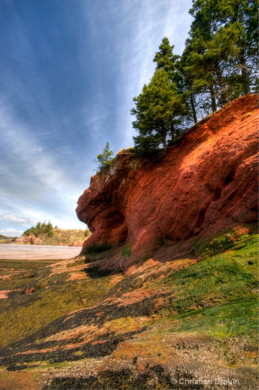 Fundy Coast at low tide, St-Stephen, NB