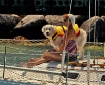 Summer Fun!!