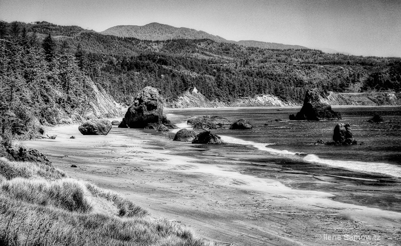 Port Orford in Black and White