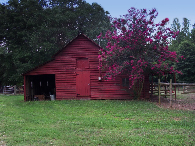 Red Barn