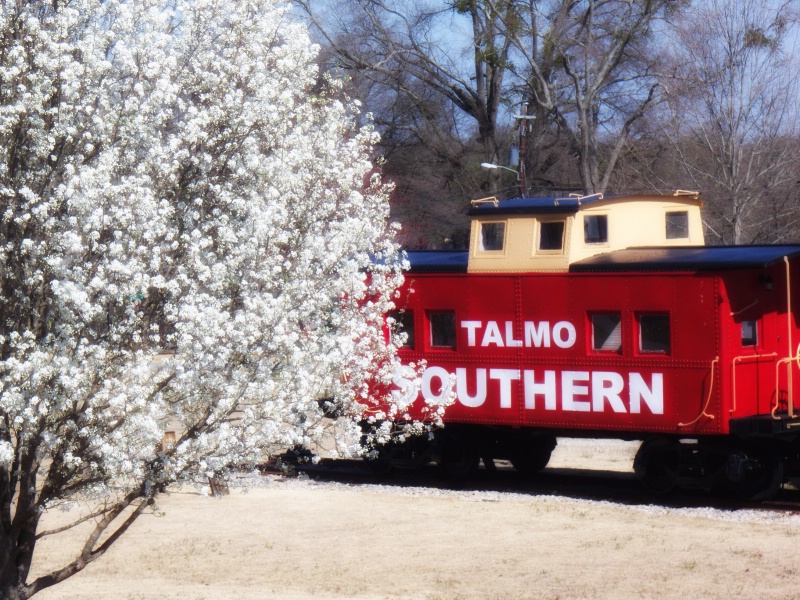 Talmo Southern