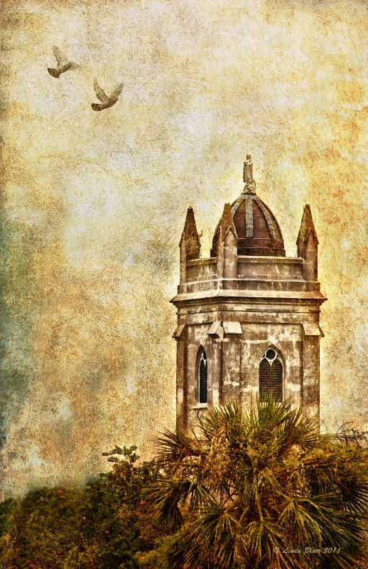 Catholic Church