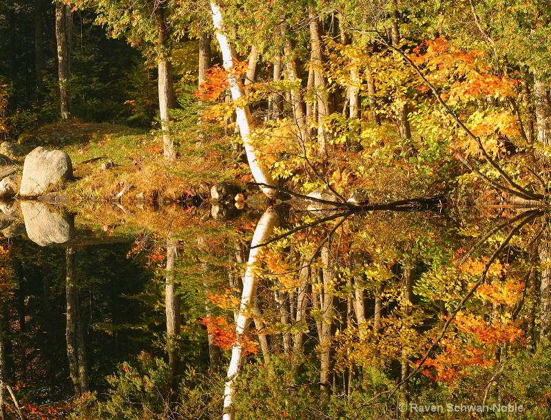 Fall on Lefert's Pond - ID: 12086184 © Raven Schwan-Noble