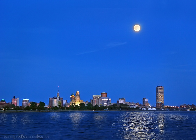 Moonlit Buffalo