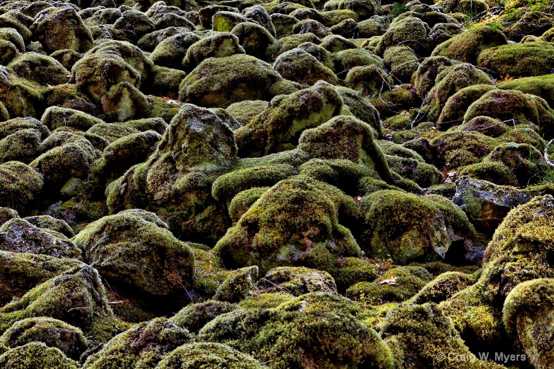 Lava and Moss - ID: 12091546 © Craig W. Myers