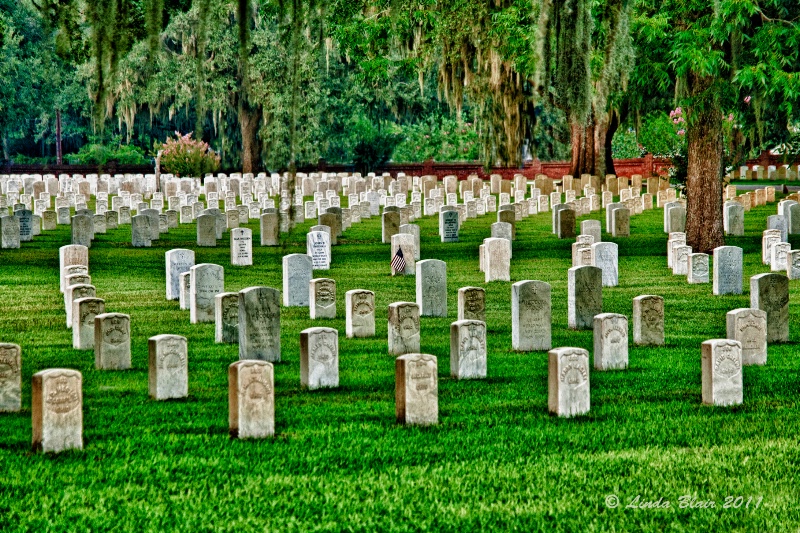 One Lone Flag