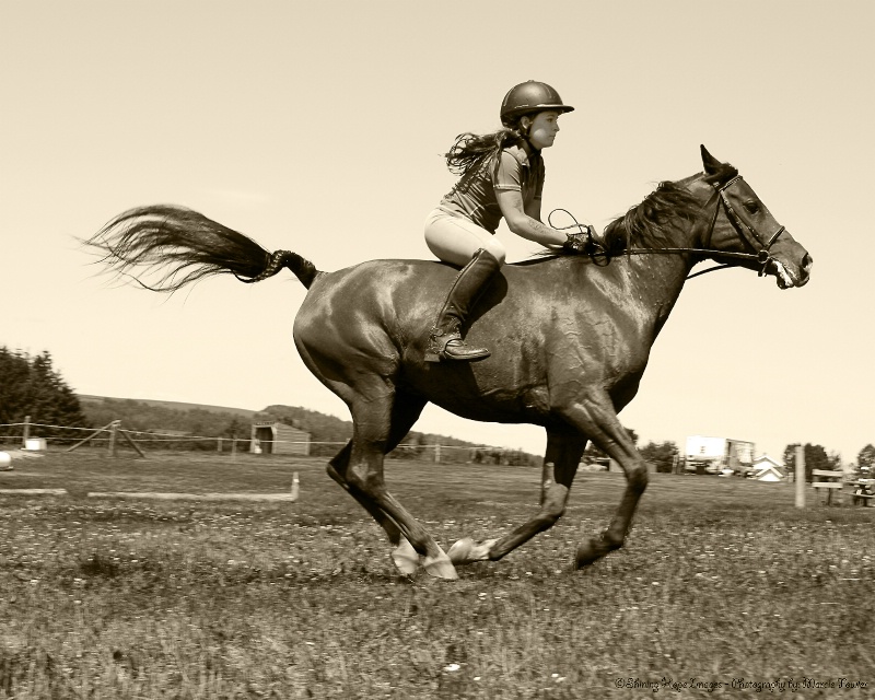 ~Chasing the Wind~